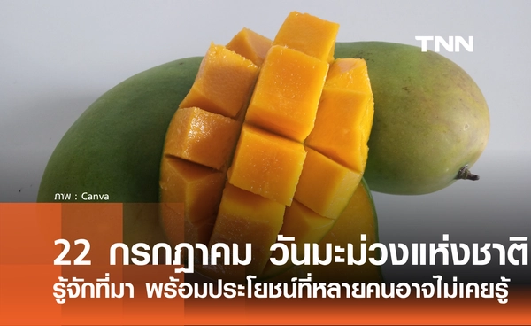22 กรกฎาคม 2569 วันมะม่วงแห่งชาติ รู้จักที่มา พร้อมประโยชน์ที่หลายคนอาจไม่เคยรู้