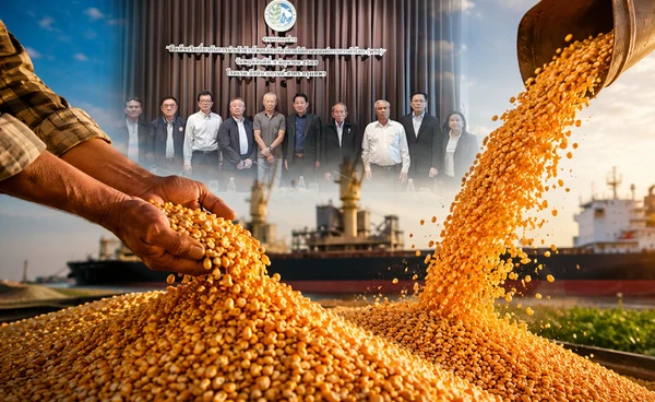 21 สมาคมชงนำเข้า"ข้าวโพด"แก้ขาดแคลน