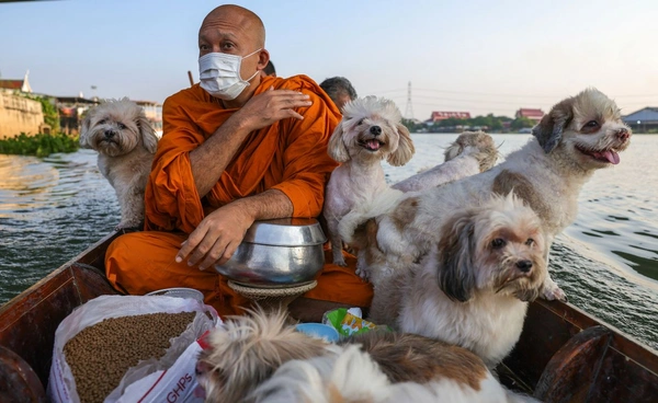 เรือบิณฑบาตกับน้องหมา ภาพน่ารักริมเจ้าพระยาไทย โด่งดังไกลไปทั่วโลก
