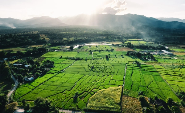 นายกฯ ชู "Green Bridge" เร่งเครื่องเศรษฐกิจสีเขียว  รับมือวิกฤตโลกร้อน