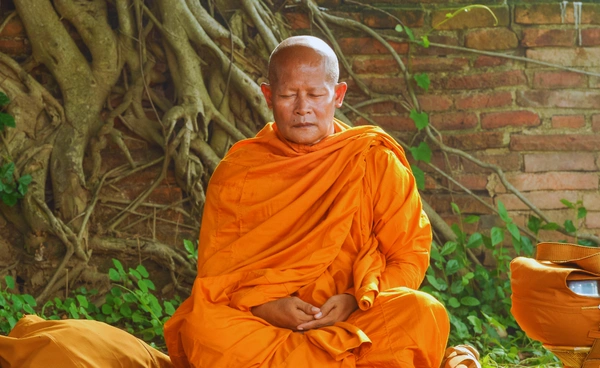 การทำสมาธิแบบวิถีพุทธ ไม่ใช่แค่การพักสมอง แต่สามารถปรับโครงสร้างสมองได้