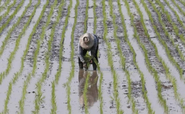 เกษตรฯ ทุ่ม4 แสนล้าน! ดัน 57 โครงการ เปลี่ยนเกษตรไทยสู่พลังงานสะอาด