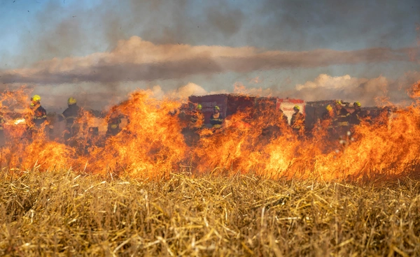 โลกเสี่ยงเจอไฟป่ารุนแรงในปีนี้ จากปรากฏการณ์เอลนีโญ