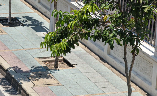 ทำไมจึงเกิด “วันครีษมายัน” วันที่กลางวันยาวนานที่สุดในรอบปี