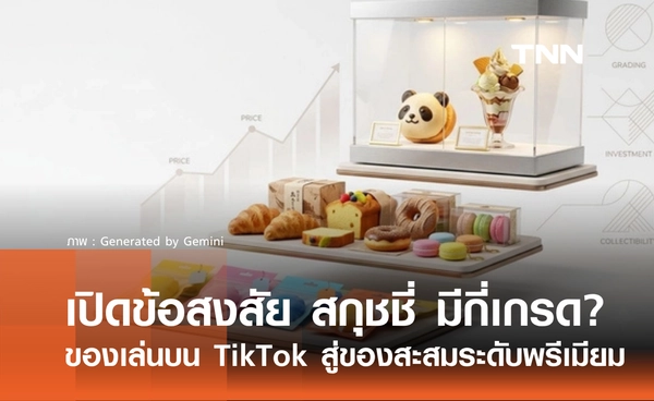 สกุชชี่ มีกี่เกรด? จากของเล่นไวรัลบน TikTok สู่ของสะสมระดับพรีเมียม