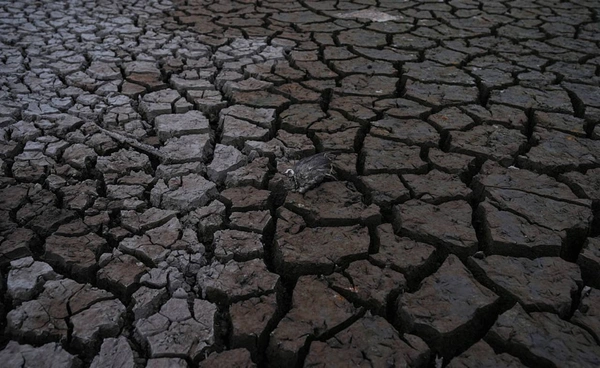 จับตา 52 วันสุดท้ายของฤดูฝน ดร.เสรีหวั่นปีนี้ “ฝนหมดเร็ว” ทำแล้งลากยาวถึงก.ค. 70