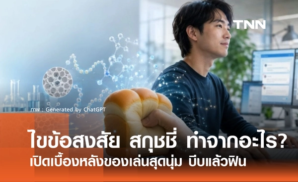 สกุชชี่ ทำมาจากอะไร? เปิดเบื้องหลังของเล่นสุดนุ่ม บีบแล้วฟิน ที่ทำเอาหลายคนติดใจ