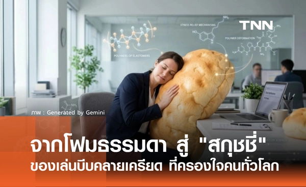 จากโฟมธรรมดา สู่ "สกุชชี่" ของเล่นบีบคลายเครียด ที่ครองใจคนทั่วโลก