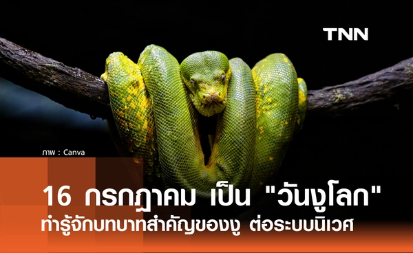 16 กรกฎาคม 2569 ตรงกับ "วันงูโลก" รู้จักบทบาทสำคัญของงู ต่อระบบนิเวศ