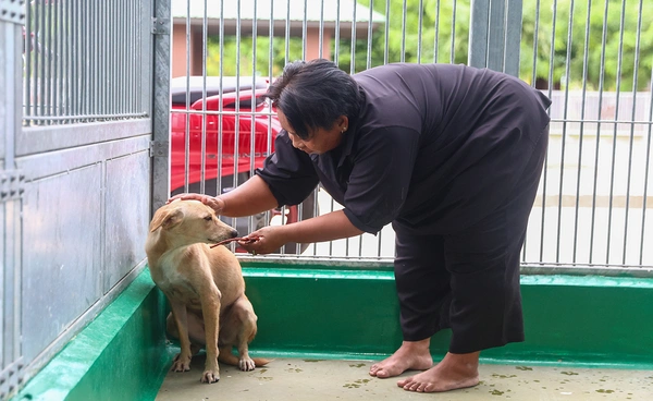 กทม. พลิกโฉม “ศูนย์ประเวศฯ” สู่บ้านใหม่สัตว์จรชวนคนกรุงฝังไมโครชิป-ฉีดวัคซีนฟรี