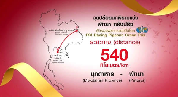 รูป-พัทยาคึกคัก! นกพิราบจากคูเวตซิวแชมป์โลก การแข่งขันนกพิราบแข่งนานาชาติพัทยา ครั้งที่ 10-7