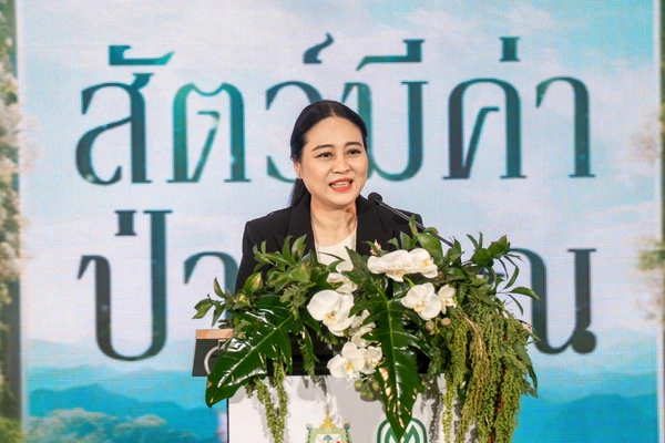 รูป-กระทรวงทรัพยากรธรรมชาติฯ จับมือเครือซีพี มอบรางวัล “สัตว์มีค่า ป่ามีคุณ” ครั้งที่ 3-6