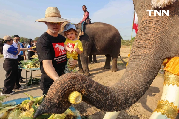รูป-อยุธยาจัดใหญ่ "วันช้างไทย 69”  เชิดชูสัตว์คู่แผ่นดิน เลี้ยงโต๊ะจีนช้าง 70 เชือก-18
