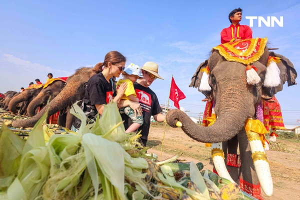 รูป-อยุธยาจัดใหญ่ "วันช้างไทย 69”  เชิดชูสัตว์คู่แผ่นดิน เลี้ยงโต๊ะจีนช้าง 70 เชือก-20