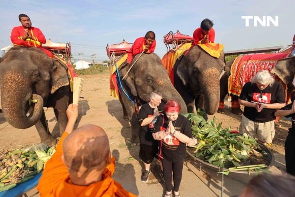 รูป-อยุธยาจัดใหญ่ "วันช้างไทย 69”  เชิดชูสัตว์คู่แผ่นดิน เลี้ยงโต๊ะจีนช้าง 70 เชือก-15