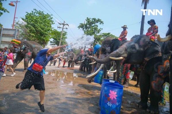 รูป-สีสันกรุงเก่า ช้าง 10 เชือกเพนต์ลายสวยงาม ร่วมเล่นน้ำรับมหาสงกรานต์อยุธยาปี 69-9