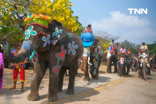 รูป-สีสันกรุงเก่า ช้าง 10 เชือกเพนต์ลายสวยงาม ร่วมเล่นน้ำรับมหาสงกรานต์อยุธยาปี 69-5