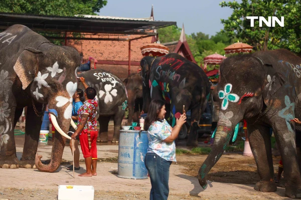 รูป-สีสันกรุงเก่า ช้าง 10 เชือกเพนต์ลายสวยงาม ร่วมเล่นน้ำรับมหาสงกรานต์อยุธยาปี 69-10