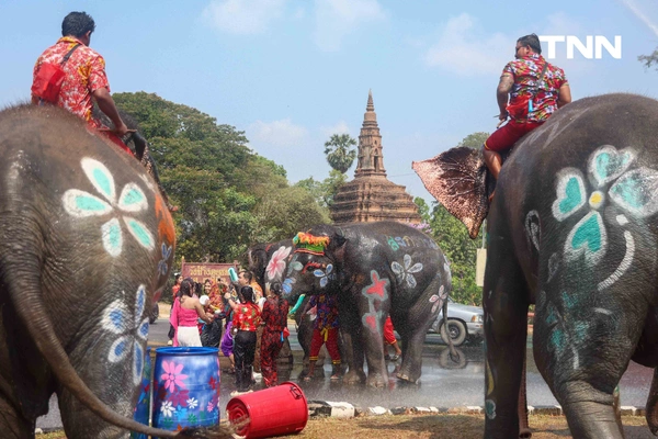 รูป-สีสันกรุงเก่า ช้าง 10 เชือกเพนต์ลายสวยงาม ร่วมเล่นน้ำรับมหาสงกรานต์อยุธยาปี 69-14