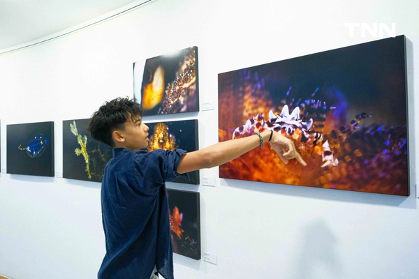 รูป-เปิดโลกใต้ทะเลผ่านเลนส์ ‘พาริ’ ช่างภาพใต้น้ำวัย 14 กับนิทรรศการ PAY BACK TO THE OCEAN-6