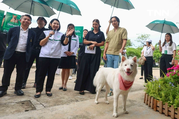 รูป-กทม. พลิกโฉม “ศูนย์ประเวศฯ” สู่บ้านใหม่สัตว์จรชวนคนกรุงฝังไมโครชิป-ฉีดวัคซีนฟรี-17