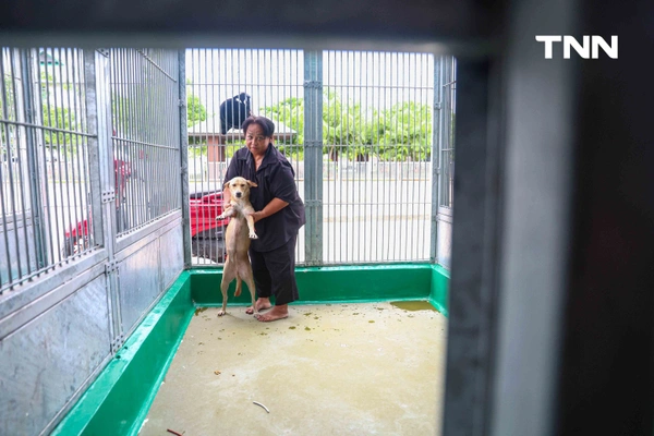 รูป-กทม. พลิกโฉม “ศูนย์ประเวศฯ” สู่บ้านใหม่สัตว์จรชวนคนกรุงฝังไมโครชิป-ฉีดวัคซีนฟรี-9