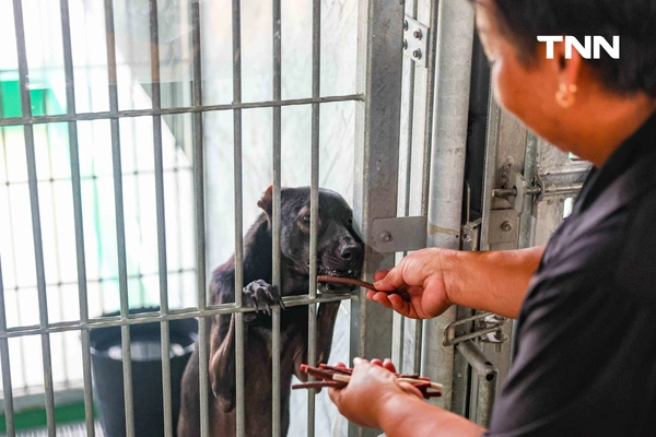 รูป-กทม. พลิกโฉม “ศูนย์ประเวศฯ” สู่บ้านใหม่สัตว์จรชวนคนกรุงฝังไมโครชิป-ฉีดวัคซีนฟรี-5