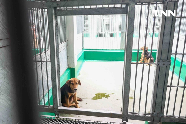 รูป-กทม. พลิกโฉม “ศูนย์ประเวศฯ” สู่บ้านใหม่สัตว์จรชวนคนกรุงฝังไมโครชิป-ฉีดวัคซีนฟรี-20