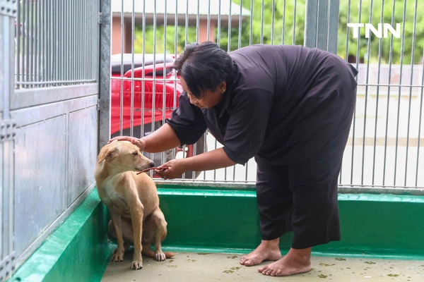 รูป-กทม. พลิกโฉม “ศูนย์ประเวศฯ” สู่บ้านใหม่สัตว์จรชวนคนกรุงฝังไมโครชิป-ฉีดวัคซีนฟรี-8