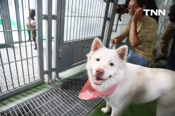 รูป-กทม. พลิกโฉม “ศูนย์ประเวศฯ” สู่บ้านใหม่สัตว์จรชวนคนกรุงฝังไมโครชิป-ฉีดวัคซีนฟรี-18