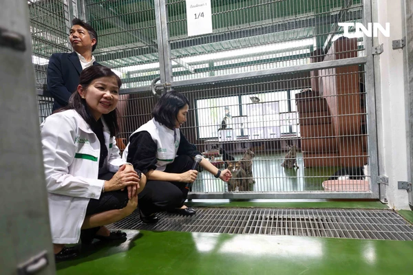 รูป-กทม. พลิกโฉม “ศูนย์ประเวศฯ” สู่บ้านใหม่สัตว์จรชวนคนกรุงฝังไมโครชิป-ฉีดวัคซีนฟรี-22