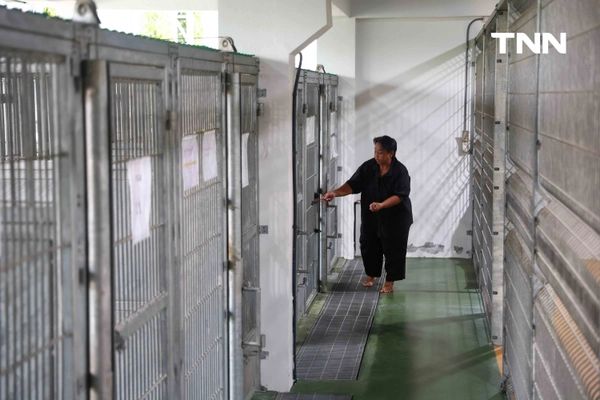 รูป-กทม. พลิกโฉม “ศูนย์ประเวศฯ” สู่บ้านใหม่สัตว์จรชวนคนกรุงฝังไมโครชิป-ฉีดวัคซีนฟรี-6