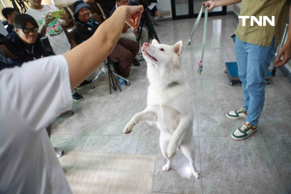 รูป-กทม. พลิกโฉม “ศูนย์ประเวศฯ” สู่บ้านใหม่สัตว์จรชวนคนกรุงฝังไมโครชิป-ฉีดวัคซีนฟรี-14