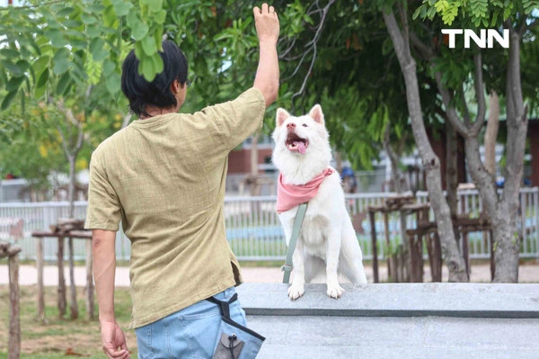 รูป-กทม. พลิกโฉม “ศูนย์ประเวศฯ” สู่บ้านใหม่สัตว์จรชวนคนกรุงฝังไมโครชิป-ฉีดวัคซีนฟรี-29