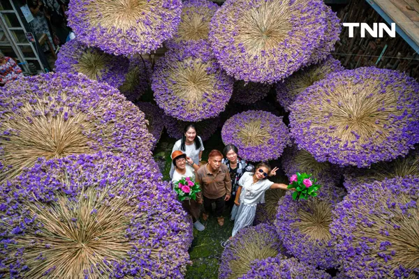 รูป-พลิกฟื้น "ตลาดเก่าหัวตะเข้" สู่แลนด์มาร์กสุดอาร์ต พร้อมสะพรั่งด้วยเทศกาลดอกไม้ RAKDOK 2026-4