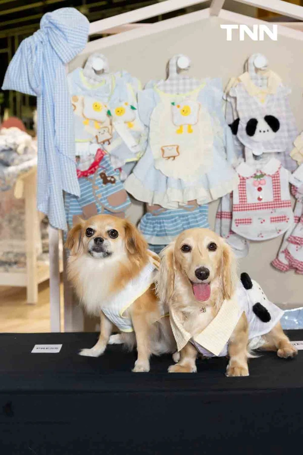 รูป-สยามดิสคัฟเวอรี่ เปลี่ยน PAW LAB สู่รันเวย์ครั้งแรก ชวนเหล่าเพื่อนสี่ขาและเจ้าของมาแสดงตัวตนผ่านแฟชั่นและ Pet Lifestyle-17