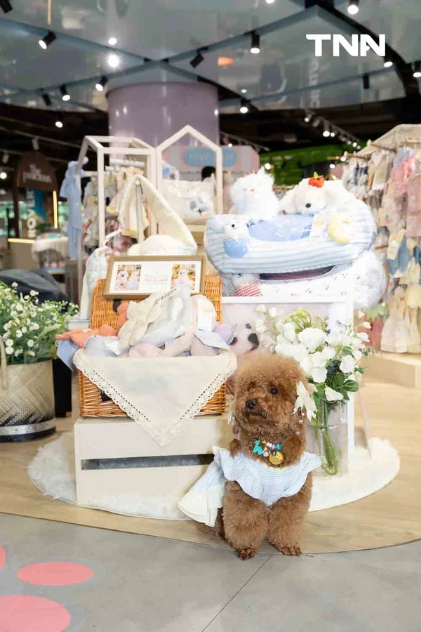 รูป-สยามดิสคัฟเวอรี่ เปลี่ยน PAW LAB สู่รันเวย์ครั้งแรก ชวนเหล่าเพื่อนสี่ขาและเจ้าของมาแสดงตัวตนผ่านแฟชั่นและ Pet Lifestyle-10