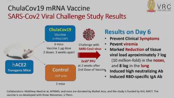 จุฬาฯ เตรียมทดลองวัคซีนโควิด-19 ชนิด mRNA ในอาสาสมัคร พ.ค.นี้