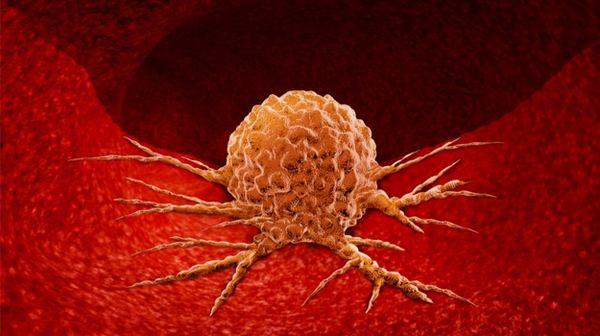 นักวิทย์ฯ คิดค้นยากำจัดมะเร็ง ด้วยกลไก สั่งปิดโรงงาน ของเซลล์
