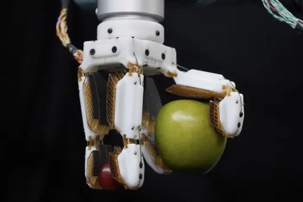 หุ่นยนต์มือตุ๊กแก! ช่วยจับวัตถุที่แข็งและบอบบางได้ในเครื่องเดียว