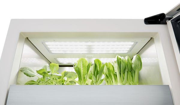 LG Tiiun ตู้ปลูกผักอัจฉริยะในบ้าน ได้รางวัล Innovation Award ในงาน CES 2022