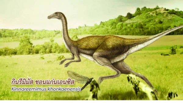 “มินิโมเคอร์เซอร์ ภูน้อยเอนซิส”  “ไดโนเสาร์ชนิดใหม่ของโลก พบในไทย           