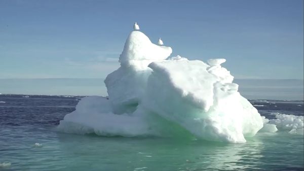 สัญญาณวิกฤติโลก! เปิดภาพธารน้ำแข็งเก่าแก่ที่กรีนแลนด์แตกออกจากกัน