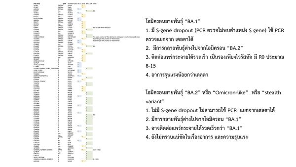 ศูนย์จีโนมฯพบโอมิครอน BA.2 สายพันธุ์ล่องหนในไทย 2 ราย 