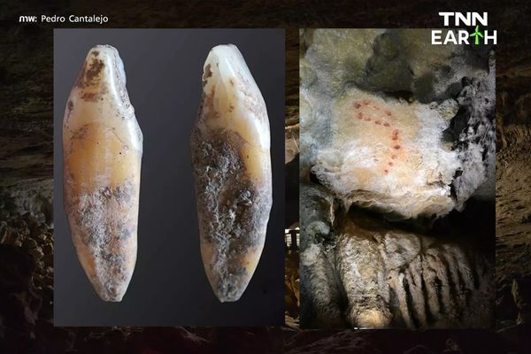 พบ จีโนมมนุษย์ เก่าแก่ที่สุด 23,000 ปี ทางตอนใต้ของสเปน