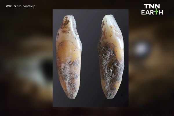พบ จีโนมมนุษย์ เก่าแก่ที่สุด 23,000 ปี ทางตอนใต้ของสเปน