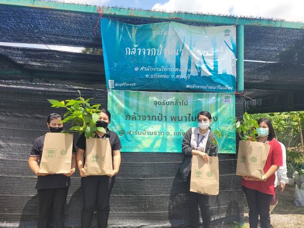 CPF เดินหน้าโครงการ กล้าจากป่า พนาในเมือง” ปีที่ 2 ชวนพนักงานปลูกต้นไม้ลดโลกร้อน