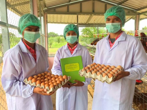ซีพีเอฟ ชูโมเดล รร.เลี้ยงไก่ไข่ ถ่ายทอดองค์ความรู้เกษตรแผนใหม่