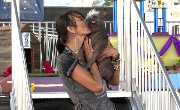 เผยโฉม มิสเตอร์ แฮปปี้ เฟซ ในงานประกวดสุนัขน่าเกลียดที่สุดในโลก