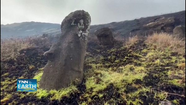 โลกร้อนทำไฟป่าแรง กระทบ “โมอาย” รูปปั้นหินมรดกโลก